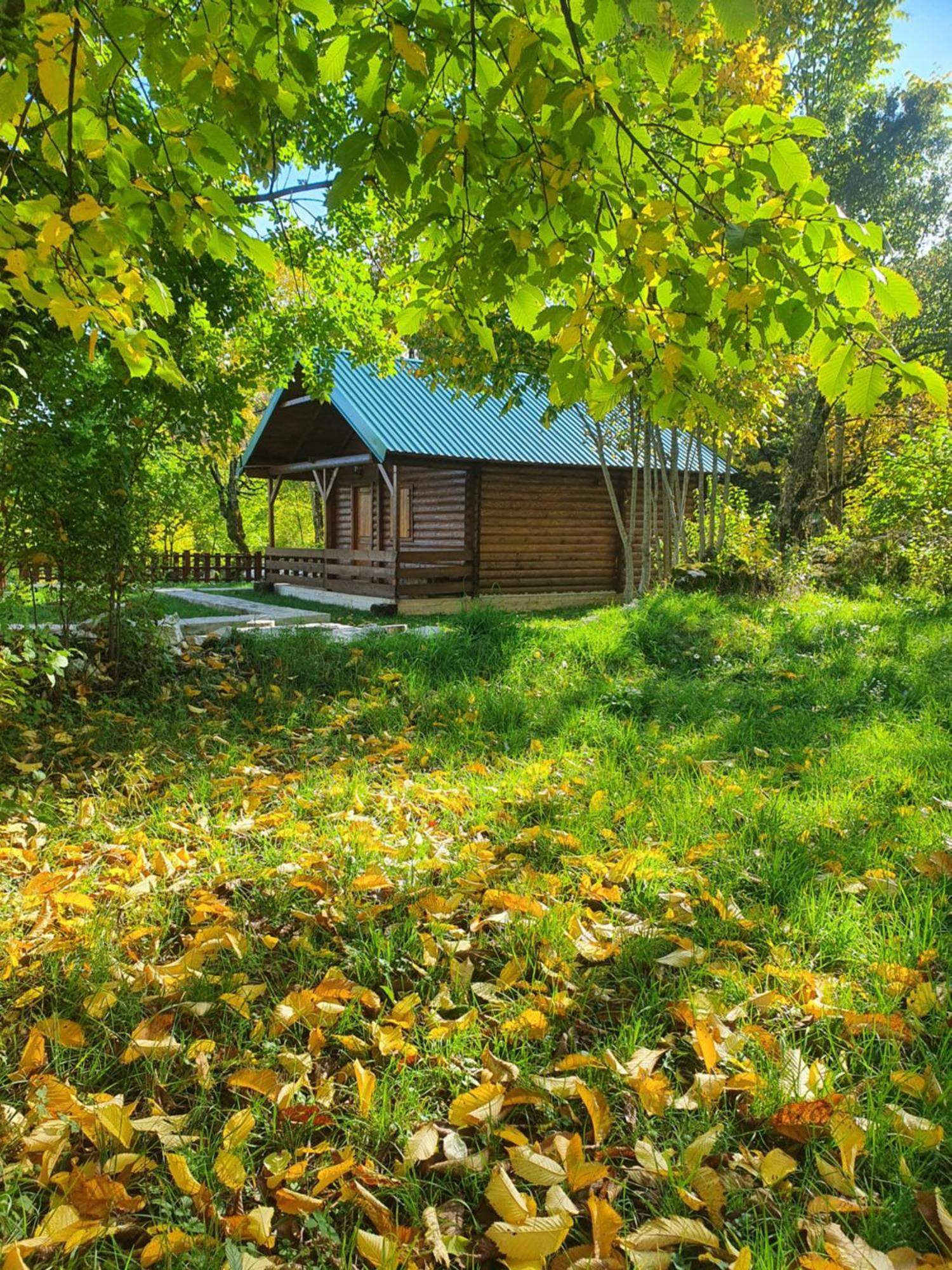 Cabin House Dubovik Цетине Екстериор снимка