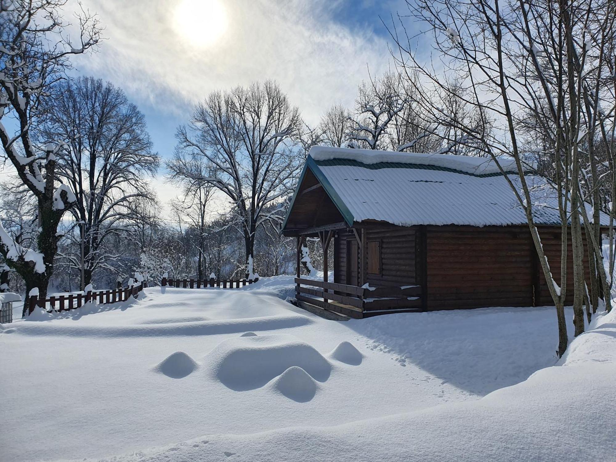 Cabin House Dubovik Цетине Екстериор снимка